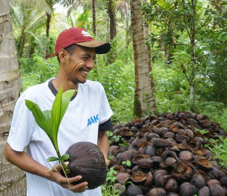 Better coconut sourcing